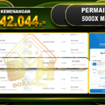5000X MANIA RP 10.542.044
