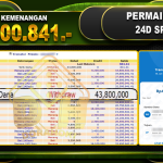 24Dspin