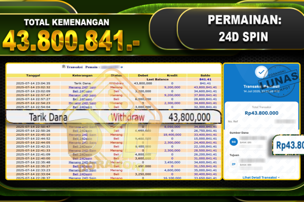 24Dspin