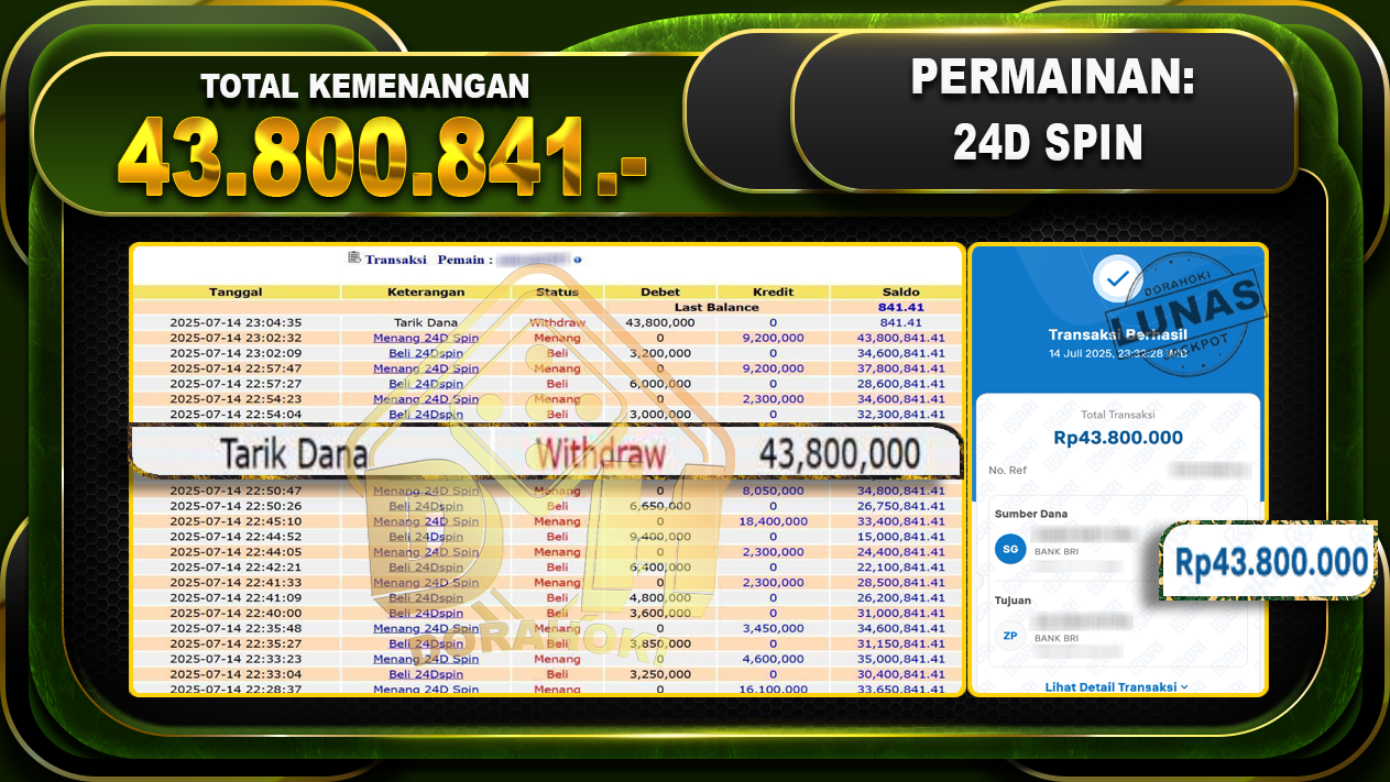 24Dspin
